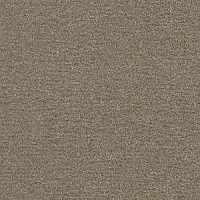 Radici Nexus Agave 8206 фото 1 | FLOORDEALER